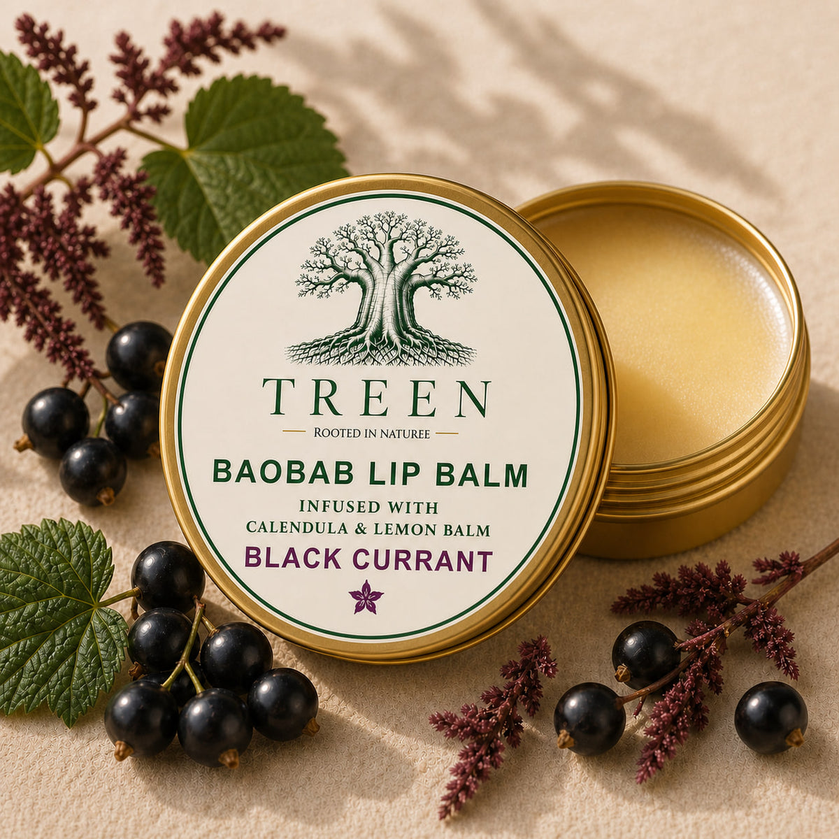 TREEN Baobab Lip Balm - Black Currant product photo